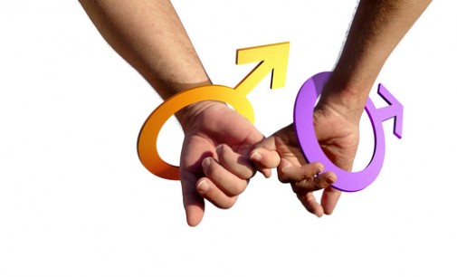 Gay Marriage: Governor Christ Christie Veto Challenged by New Jersey Democrats