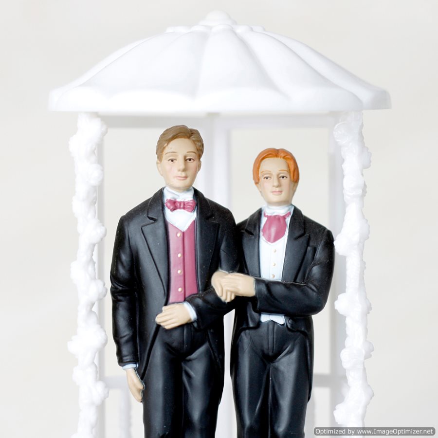 Bipartisan Group of U.S. Politicians Continue Fight for Gay Marriage 